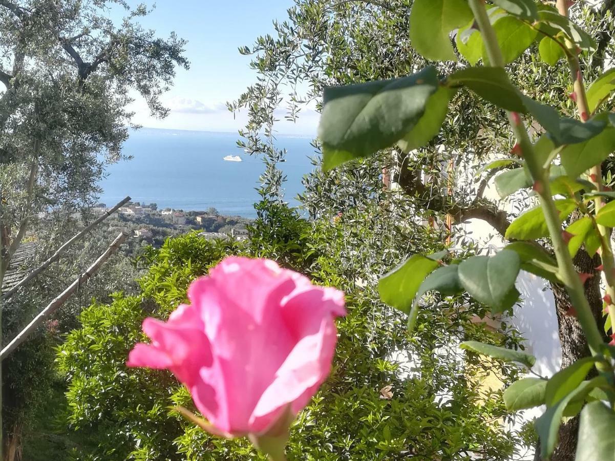 Casa Vacanza L'ulivo Península Sorrentina