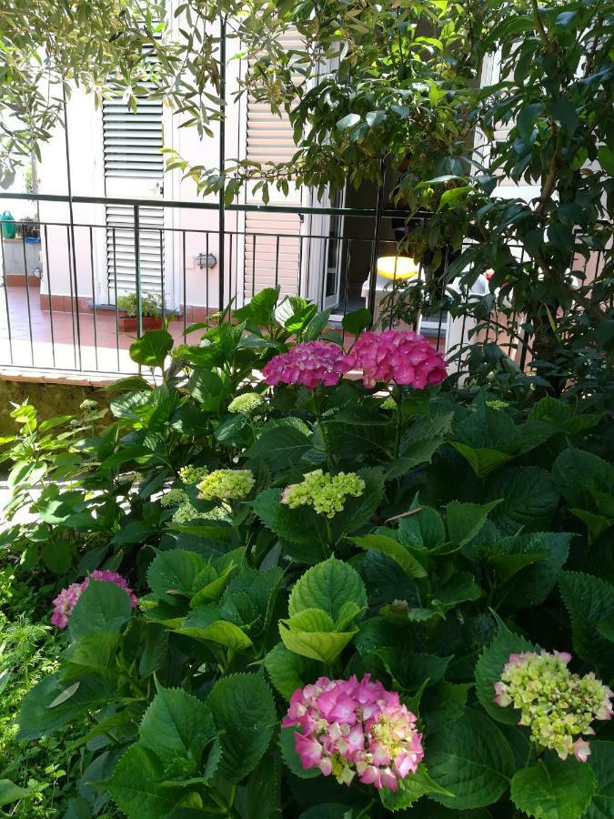 Casa Vacanza L'ulivo Сasa de vacaciones Península Sorrentina