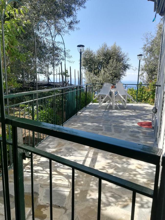 Casa Vacanza L'ulivo Сasa de vacaciones Península Sorrentina