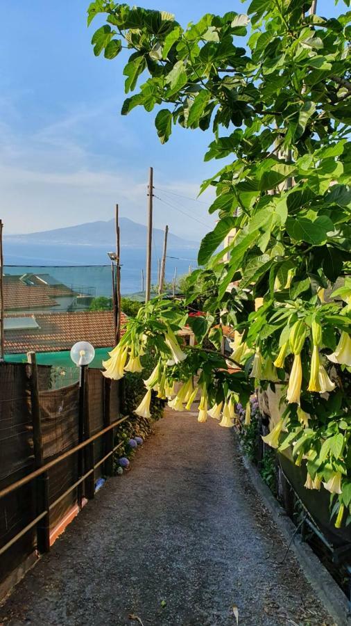 Сasa de vacaciones Casa Vacanza L'ulivo Península Sorrentina